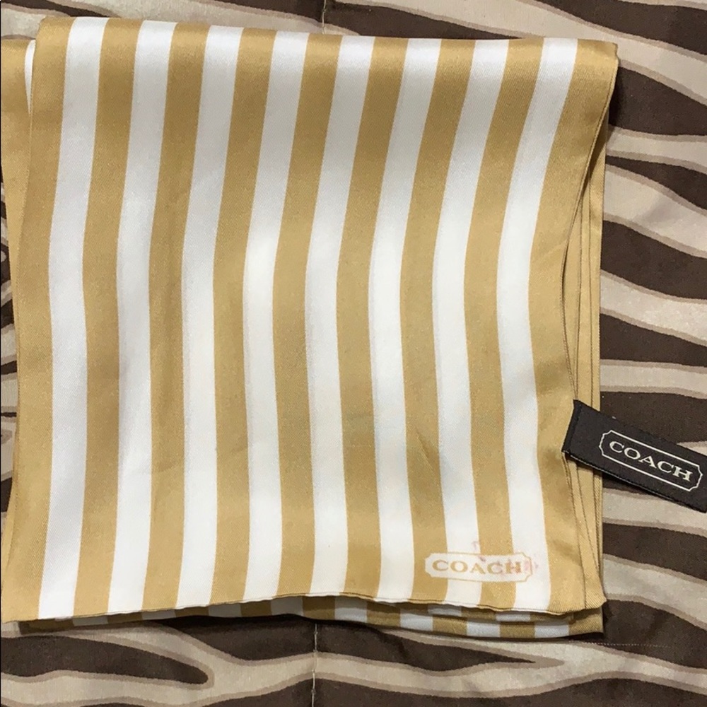 Coach scarf